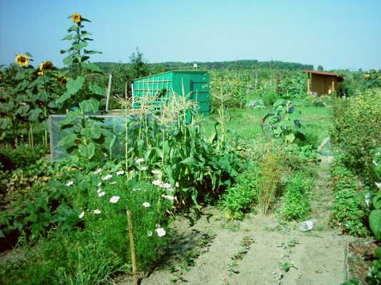 Ogród Agi
