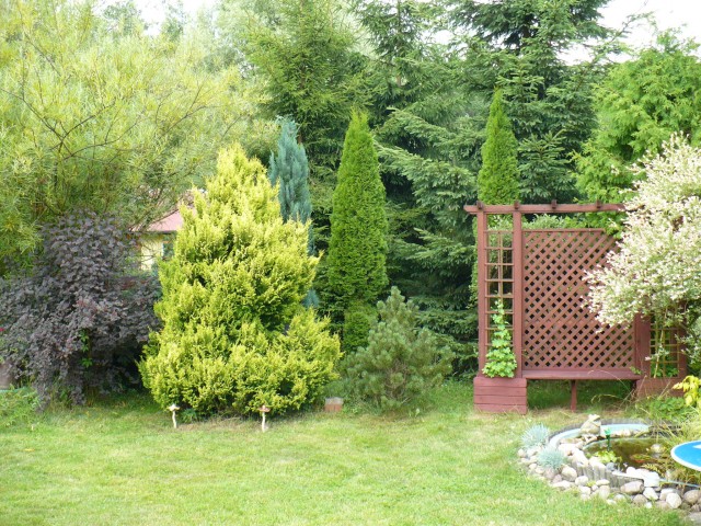 Ogród AnkiN