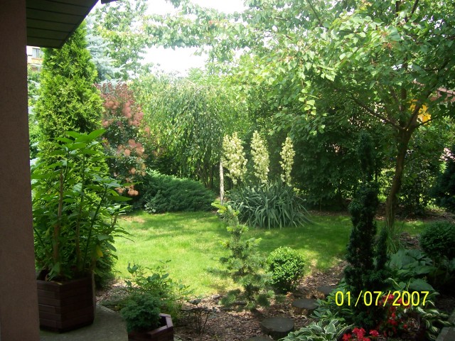 Ogród Beaty