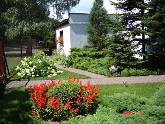 Ogród Danuty Majchrzak