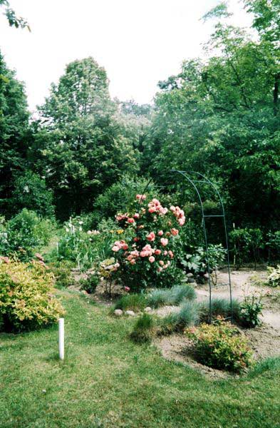 Ogród Elżbiety