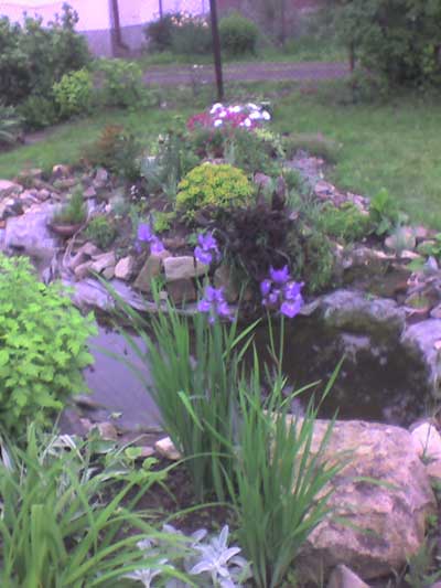 Ogród Jagody