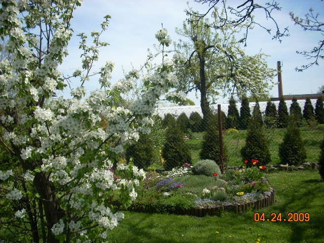 Ogród Krystyny W.