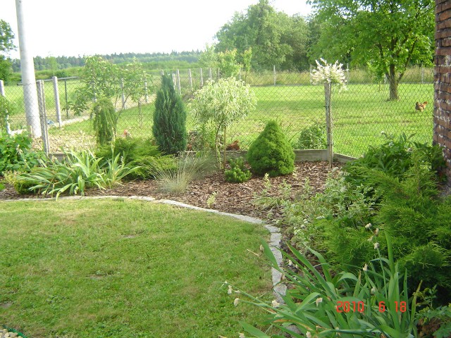 Ogród Marcina Kusia