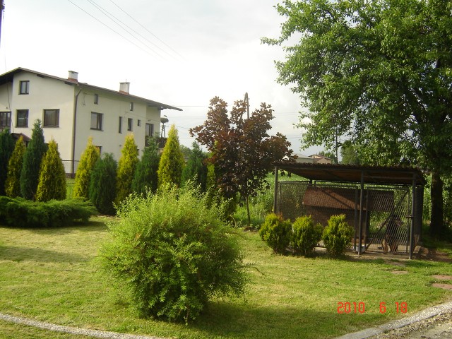 Ogród Marcina Kusia