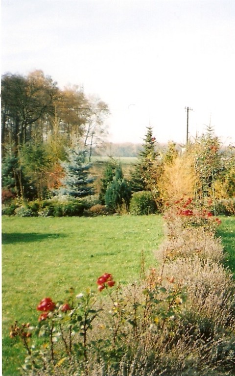 Ogród Teresy S.