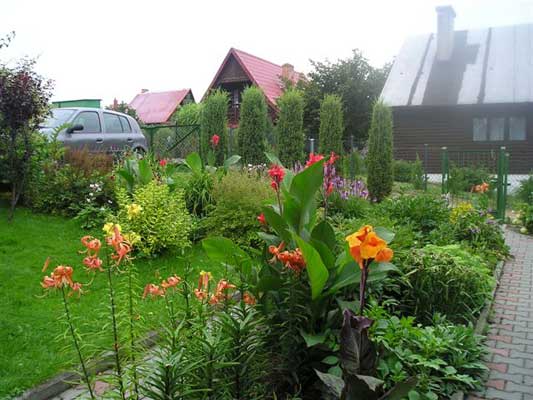 Ogród Mirka