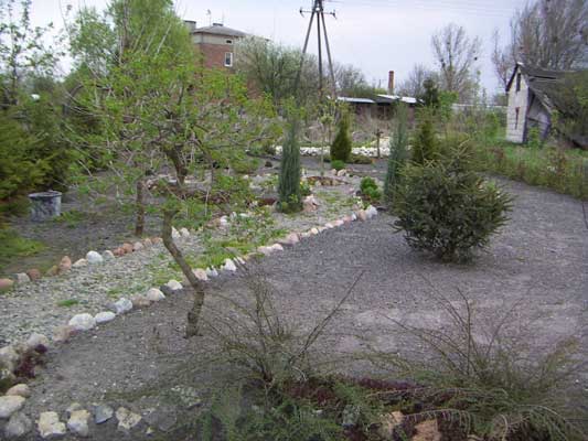 Ogród Miskanta