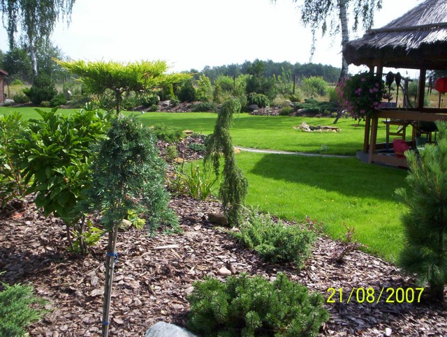 Ogród Netki