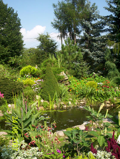 Ogród Staszka