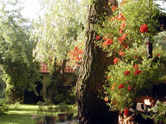 Ogród Tilii