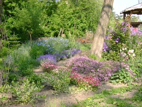 Ogród Waldemara